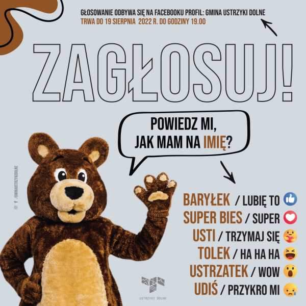 Trwa drugi etap głosowania na Misia - maskotkę Gminy Ustrzyki Dolne